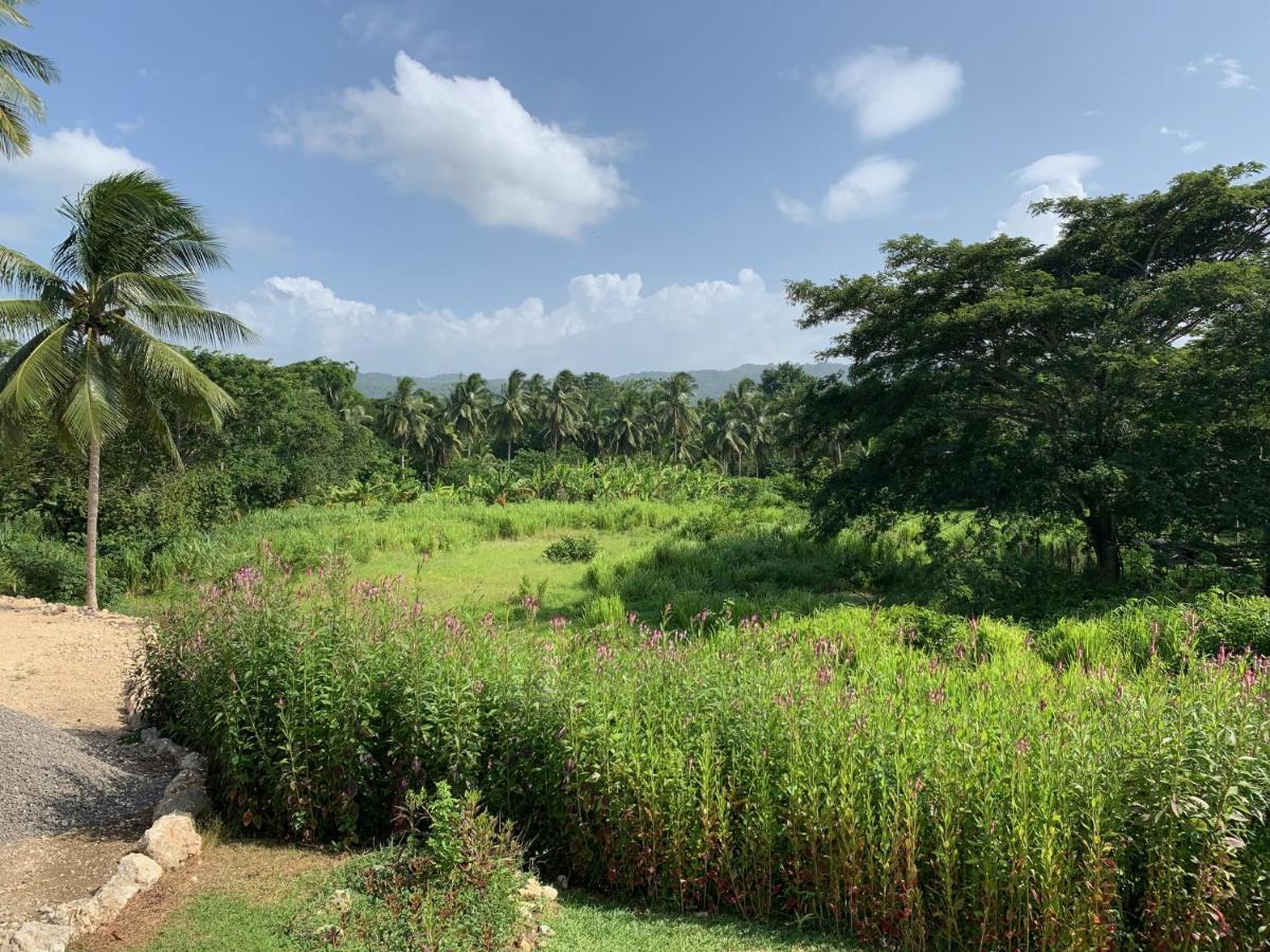 Green Queendom Farm And Lodging Oracabessa 외부 사진
